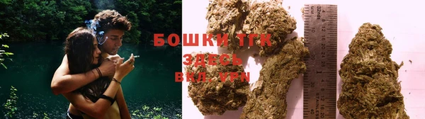 гидропоника Алзамай
