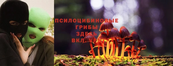 гидропоника Алзамай