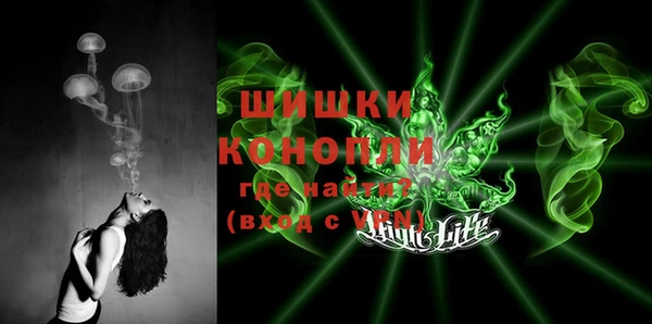 гидропоника Алзамай