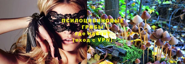 прущие грибы Алексеевка