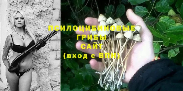прущие грибы Алексеевка