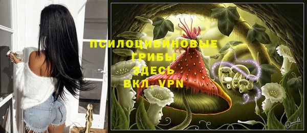 прущие грибы Алексеевка