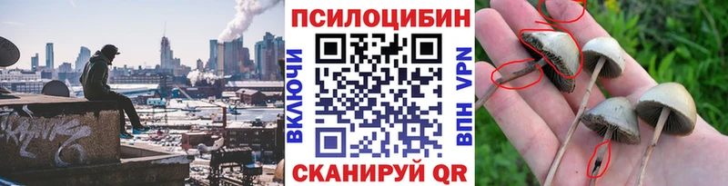 хочу сайты даркнета Telegram Псилоцибиновые грибы мицелий Алушта